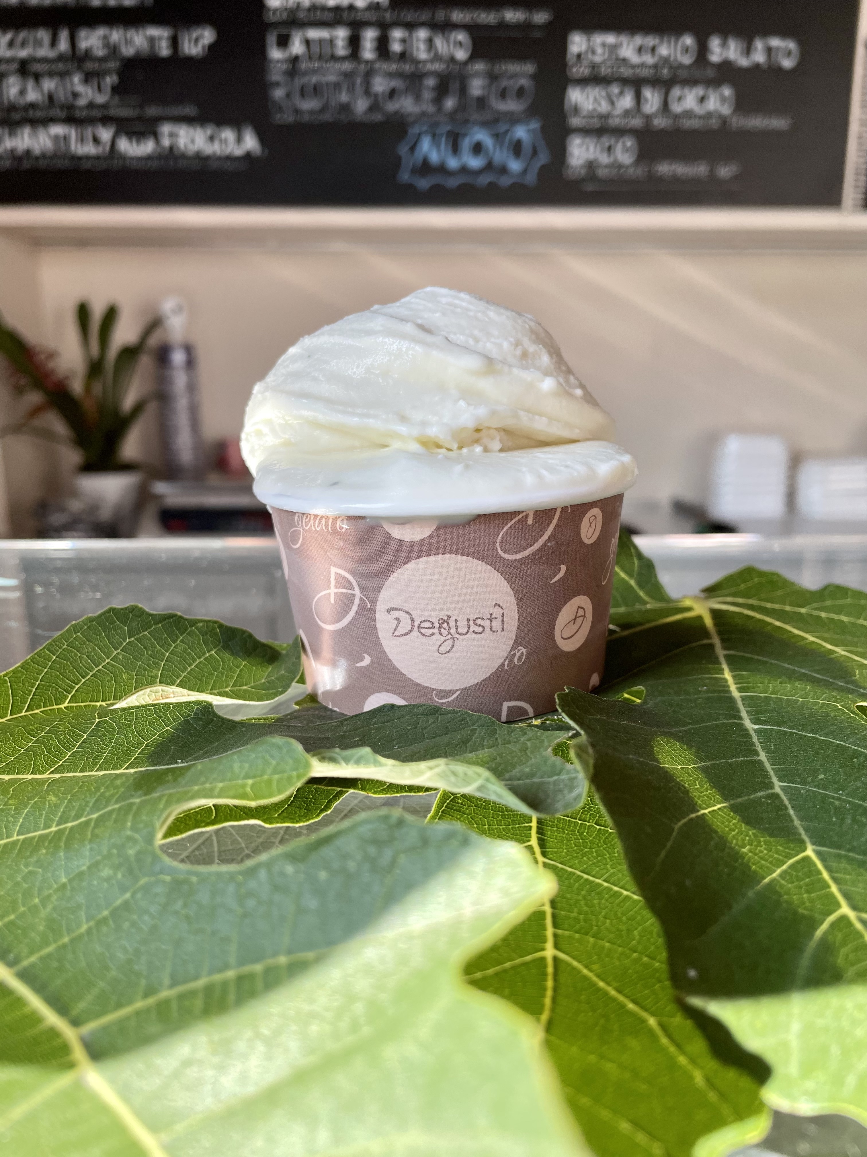 Ricotta di Pecora e Foglie di Fico